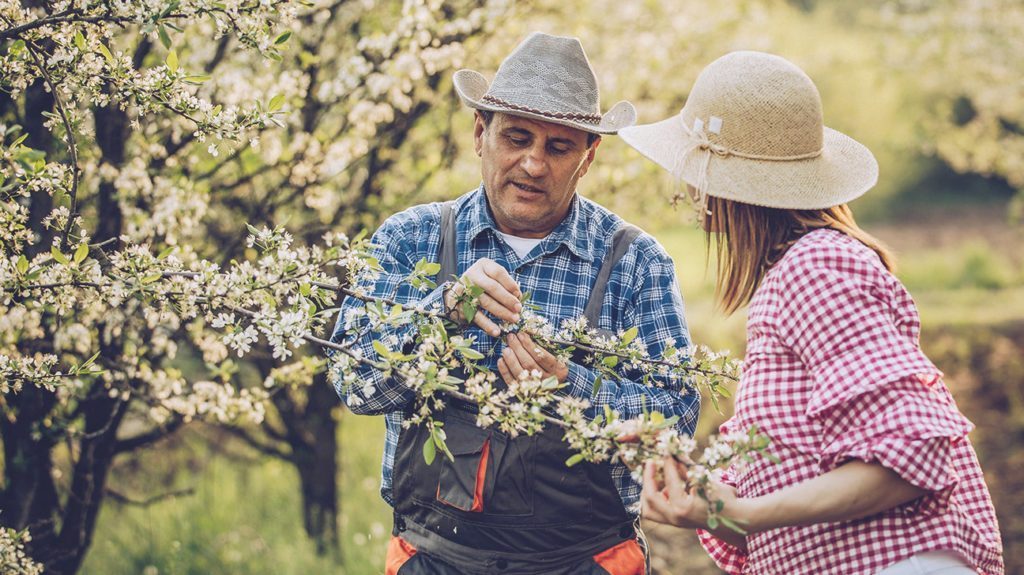 How Bad Will Your Allergies Be This Spring?